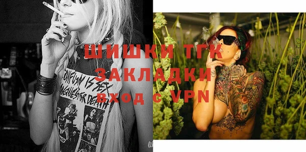 индика Балахна