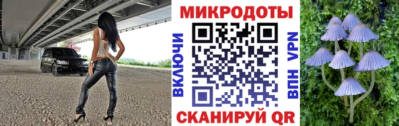 Псилоцибиновые грибы Psilocybine cubensis  Лабытнанги 